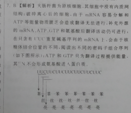 2022英语周报AHW第46期答案