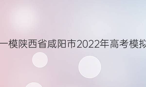 [咸阳一模]陕西省咸阳市2022年高考模拟检测(一)1地理试题答案