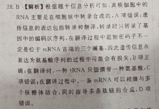 2022英语周报下学期阶段检测答案