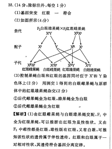 2022 英语周报 高三 GZ 29答案
