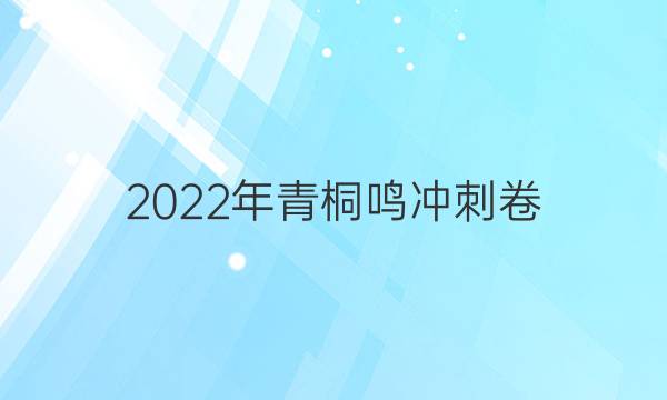 2022年青桐鸣冲刺卷(三)3英语答案