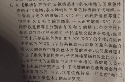 2022英语周报24高三答案