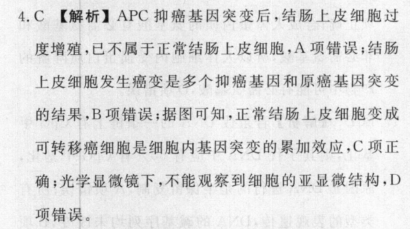 2022-2022 6年级语文学习周报答案