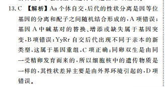 2022英语周报，河北。答案