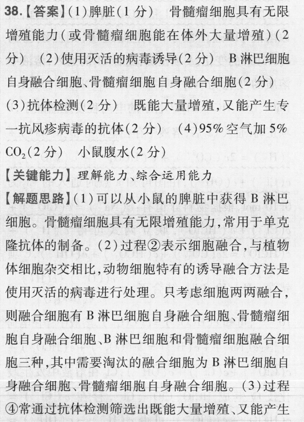 image.png@!test