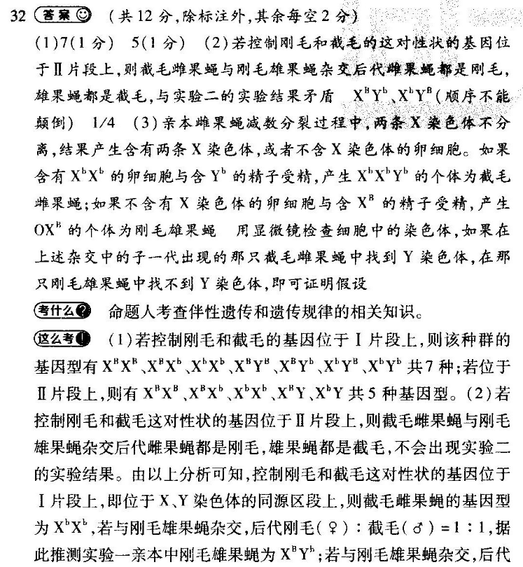 2022英语周报高三E答案