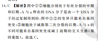image.png@!test