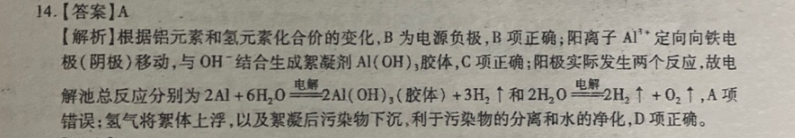 2022英语周报新目标HBJ答案