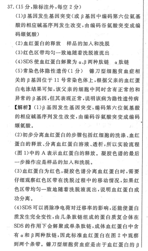 2022英语周报英语八答案