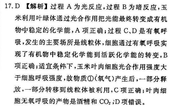 2022英语周报牛津版19期答案