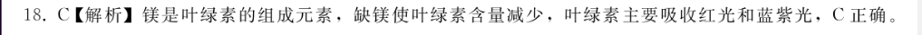 image.png@!test