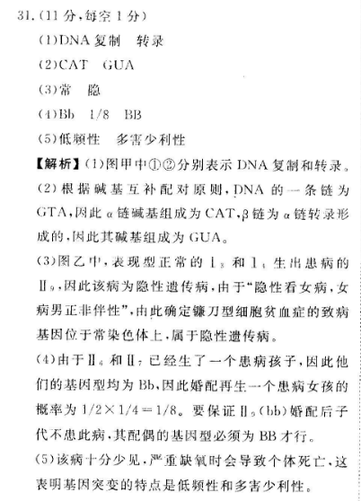 2023初一英语周报第10期答案