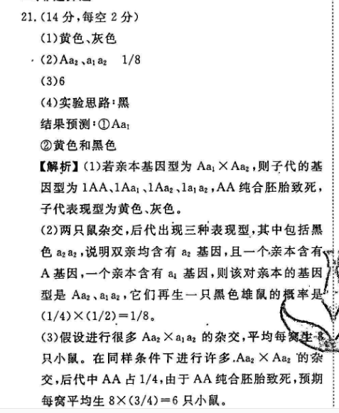 2022高一课标英语英语周报49期答案