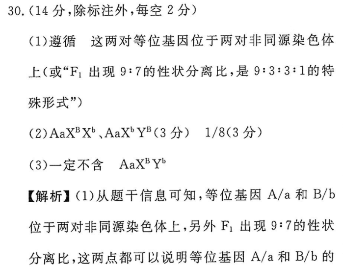 image.png@!test