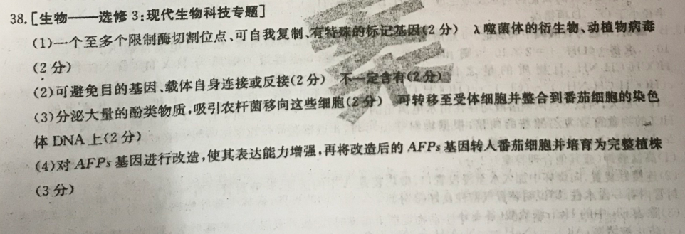 2022英语周报外研版八答案