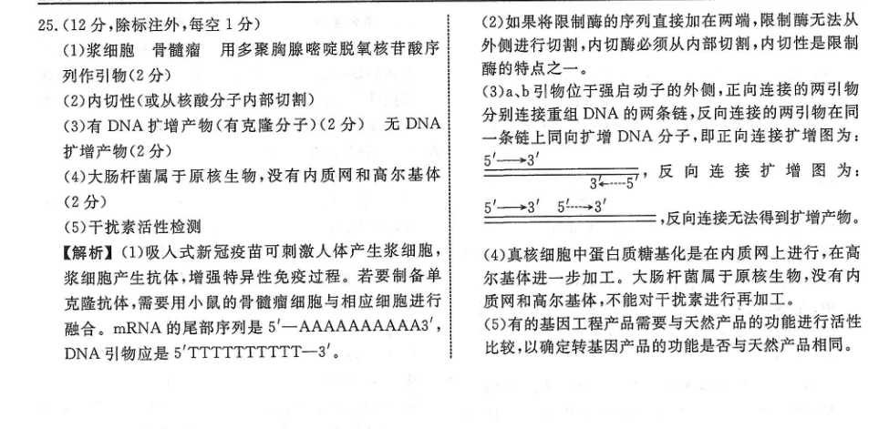 2022英语周报外研24答案