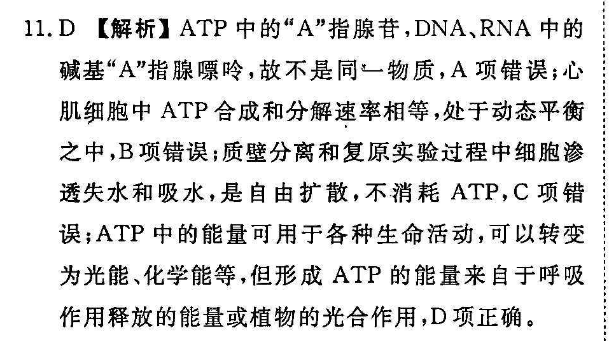 2022-英语周报答案