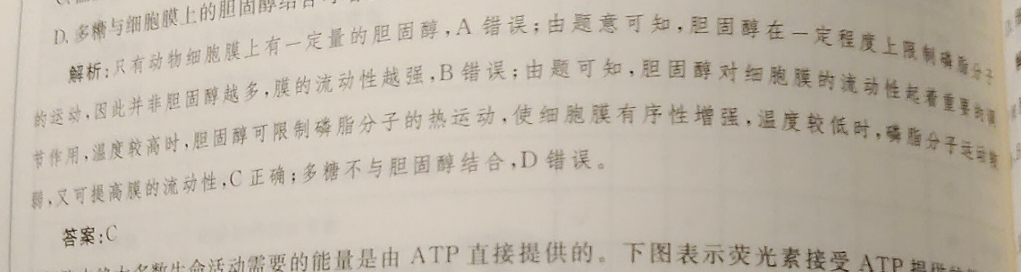 image.png@!test