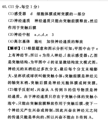 2022英语周报三七年纪答案