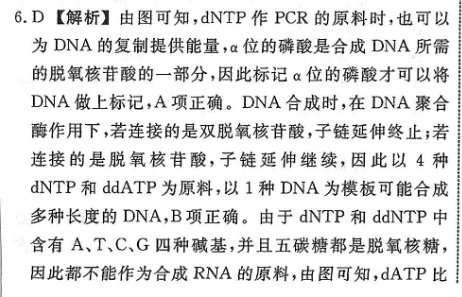 2022高一英语周报28答案