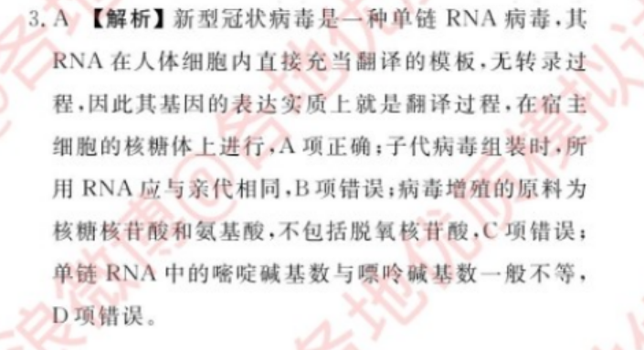 2022 英语周报 高二 HZ 43答案