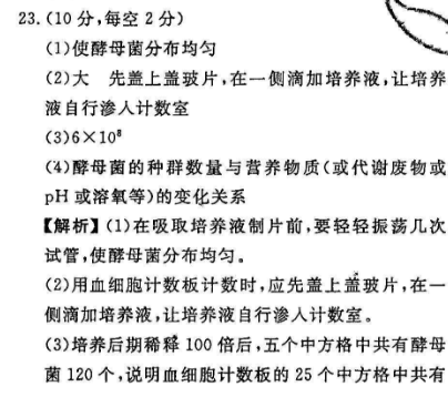 2022英语周报高三28期答案
