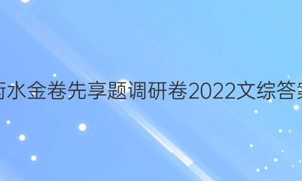 衡水金卷先享题调研卷2022文综答案