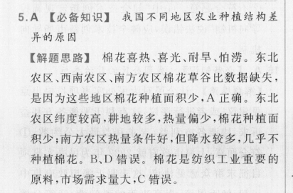 2022九年级英语周报cdx答案