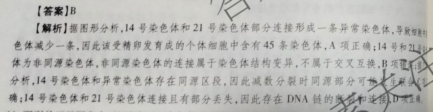 2022英语周报高三hz 41答案
