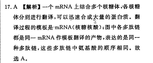 2022英语周报31期八下答案