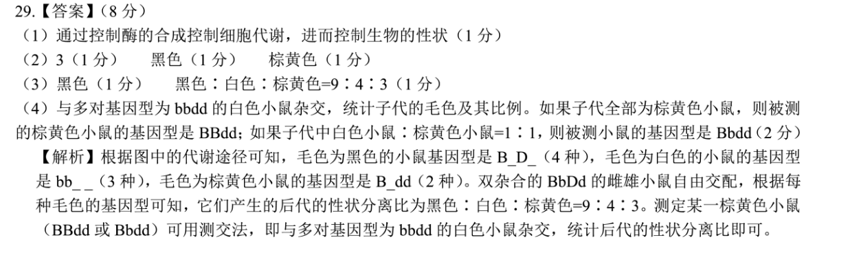 image.png@!test