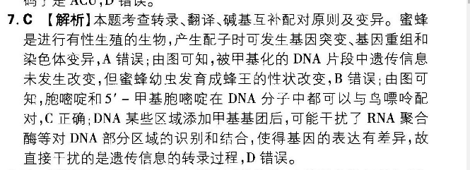 英语周报初一2019—2022答案