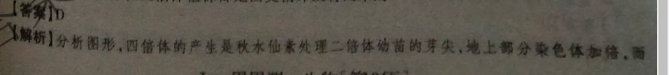 2022新目标英语周报31答案