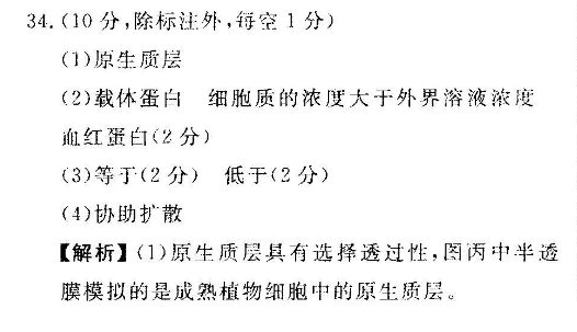 image.png@!test