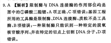 2022湖北全国版英语周报答案