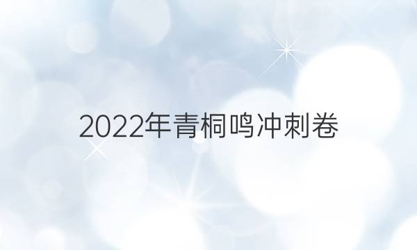 2022年青桐鸣冲刺卷(二)2理科数学试题答案