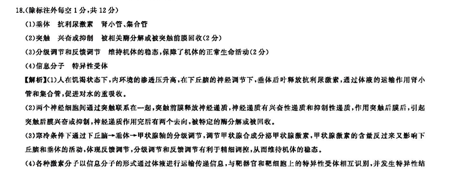 image.png@!test