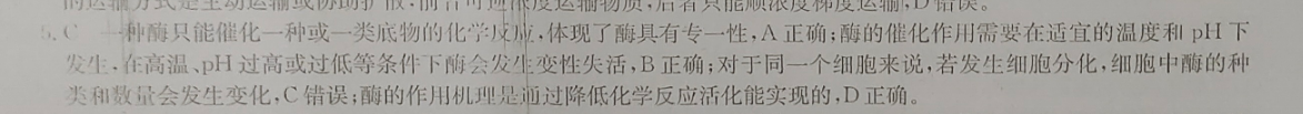 2018英语周报新目标答案