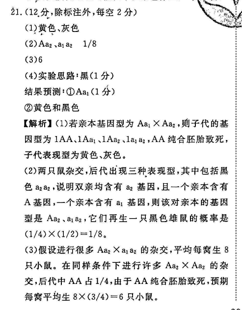 2022英语周报高考外研24期答案