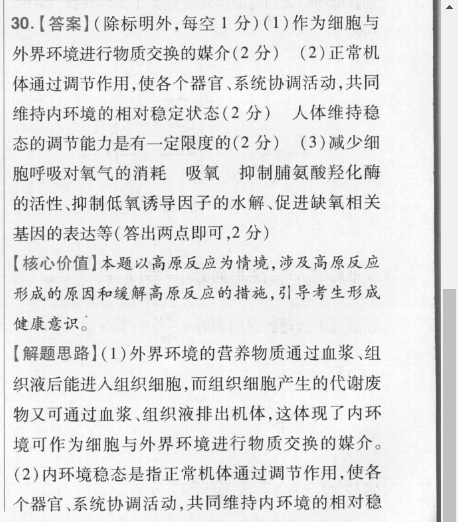 2022英语周报Y丫11答案