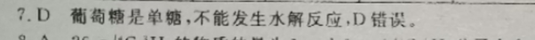 2022九年级英语周报sxj答案