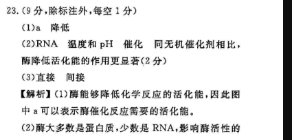 2023英语周报高考二十一期答案