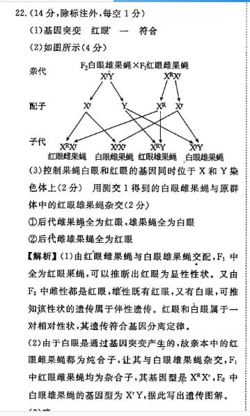 2022 英语周报 高一 外研 46答案