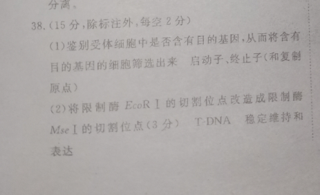 2022英语周报初中毕业学业考试英语答案