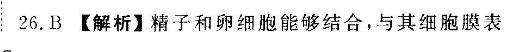 image.png@!test