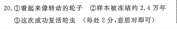 2022英语周报新标XN答案