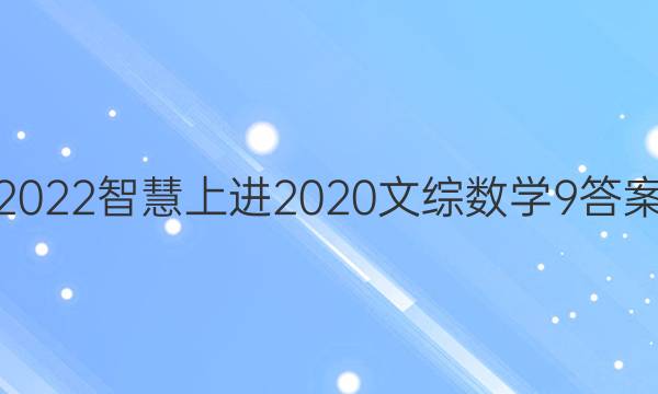 2022智慧上进2020文综数学9答案