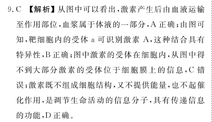 image.png@!test