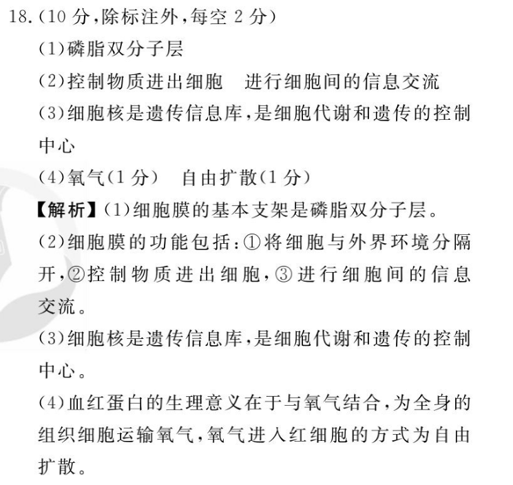 遺傳的控制中心(4)氧氣(1分)自由擴散(1分)【解析】(1)細胞膜的基本支