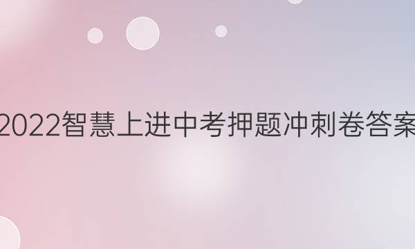 2022智慧上进中考押题冲刺卷答案